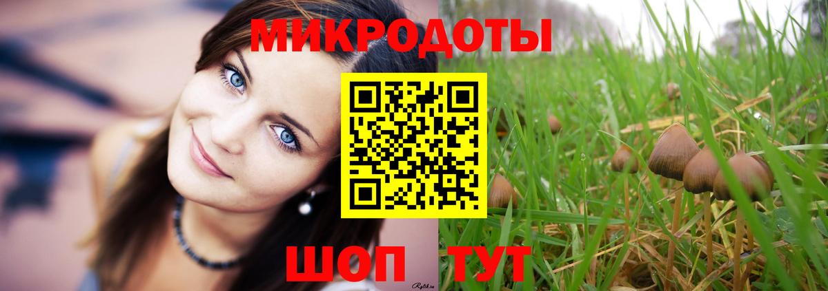 Псилоцибиновые грибы Psilocybe  Вход с VPN  Новоуральск 