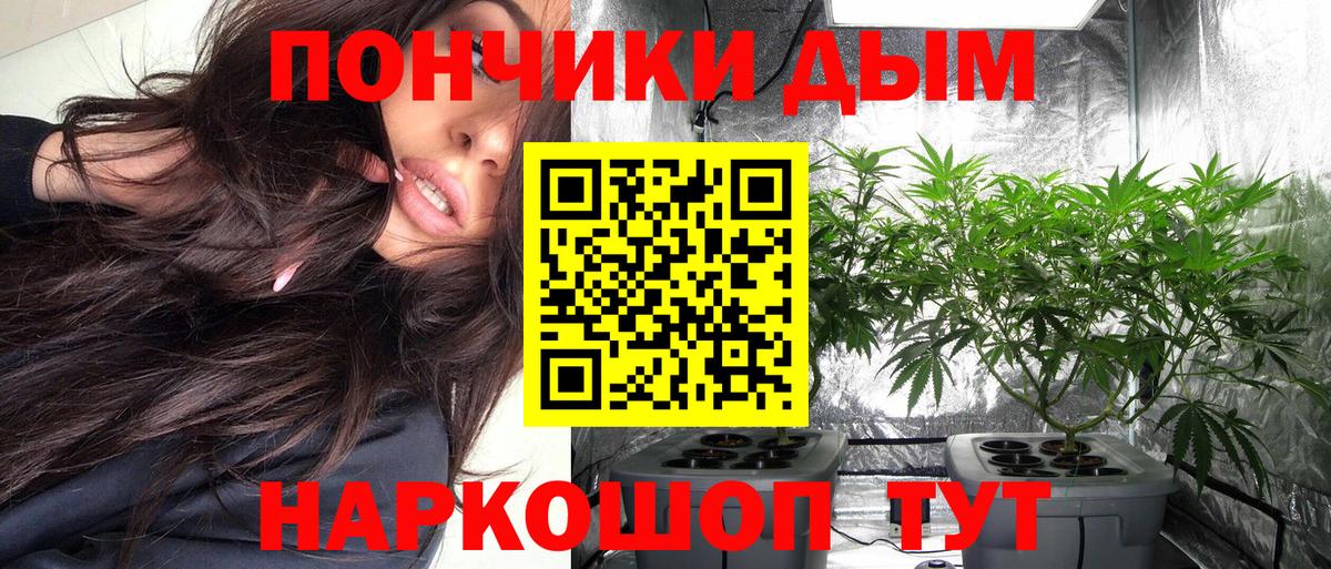 Марихуана ГИДРОПОН  МАРИХУАНА план  Канабис конопля  Новоуральск  Вход с VPN 